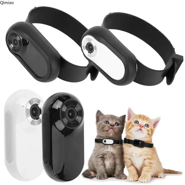 Pocket Pet POV Camera
